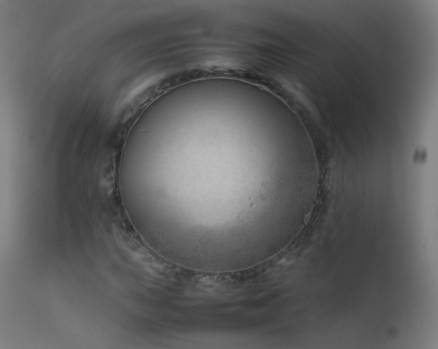 X0000111921015200907271244