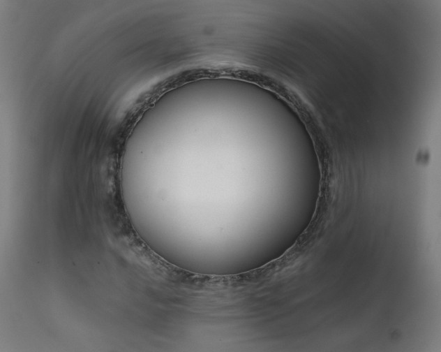 X0000111921016200907271244