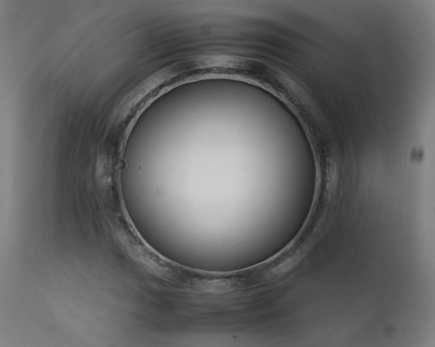 X0000111921017200907271244