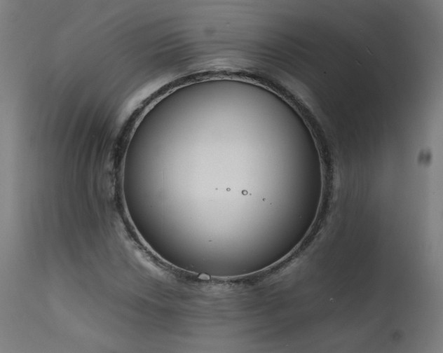 X0000111921018200907271244