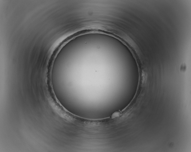 X0000111921020200907271244