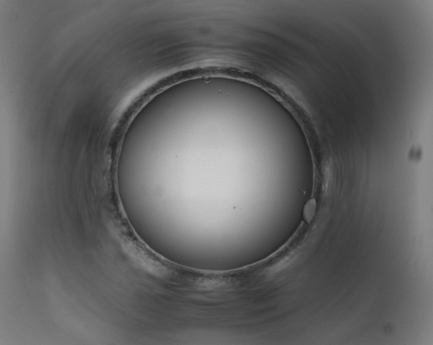 X0000111921021200907271244