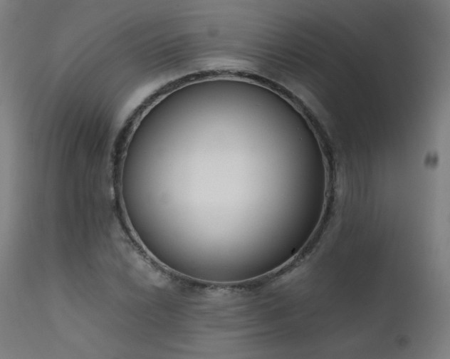 X0000111921022200907271244