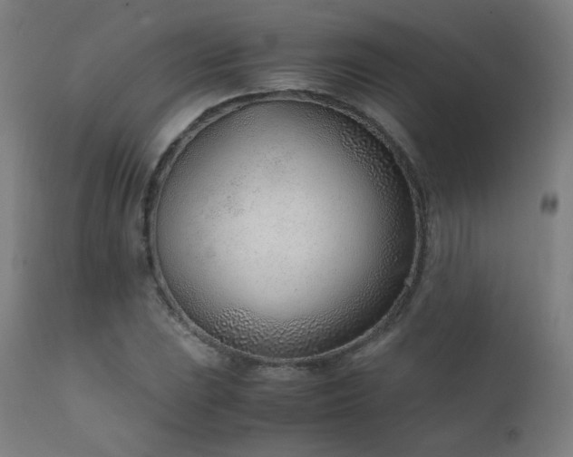 X0000111921023200907271244
