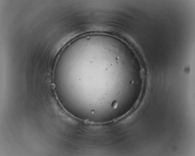 X0000111921025200907271244