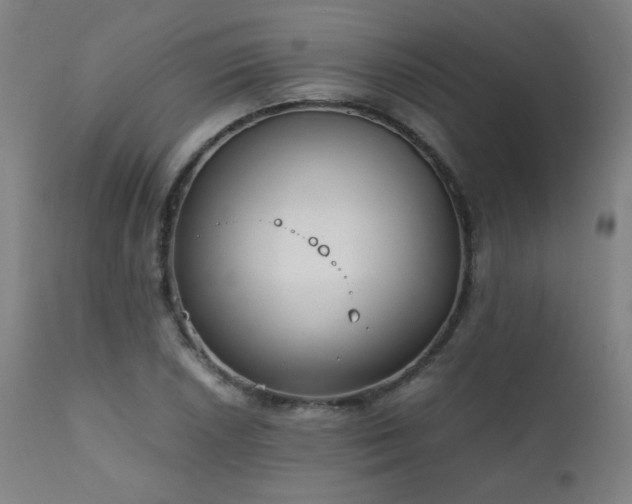 X0000111921026200907271244