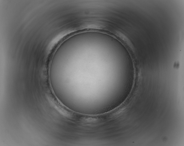 X0000111921027200907271244