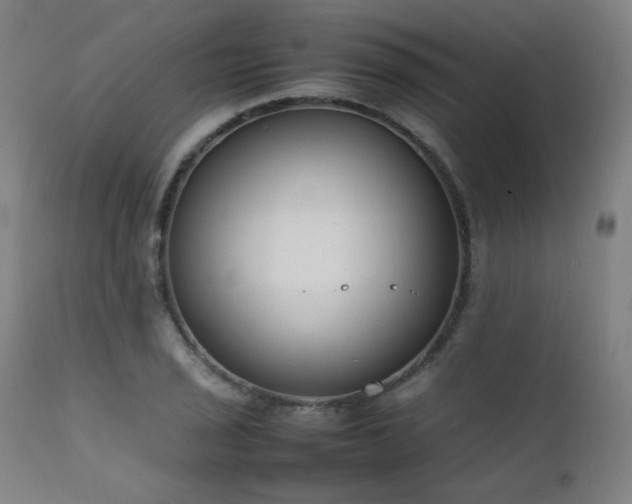 X0000111921029200907271244