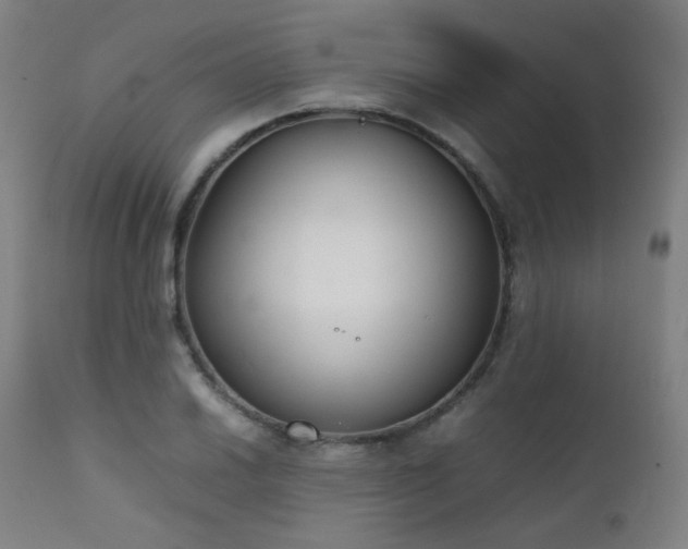 X0000111921030200907271244