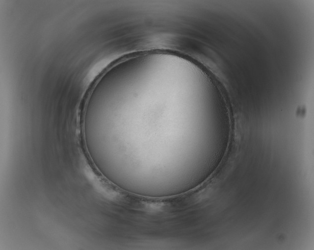 X0000111921031200907271244