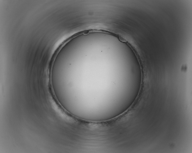 X0000111921032200907271244