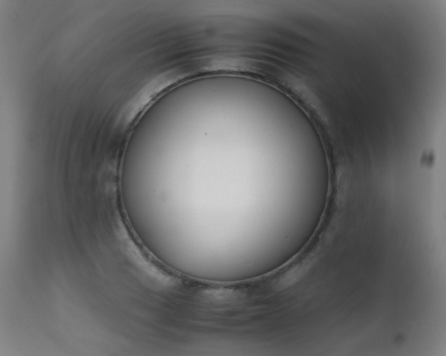 X0000111921033200907271244