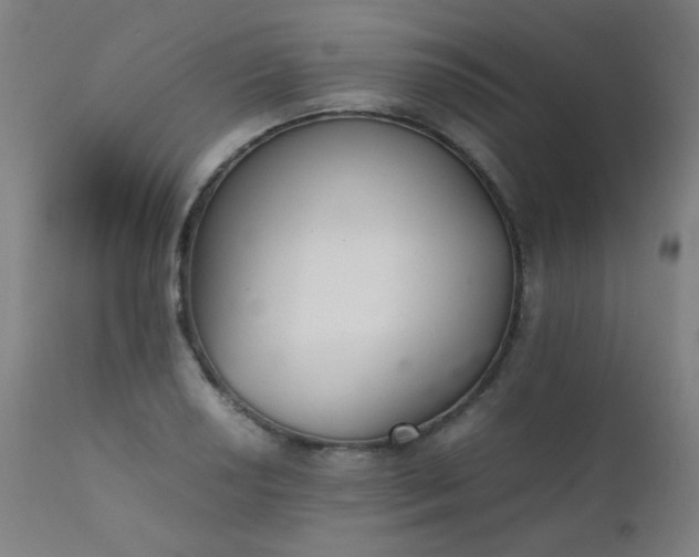 X0000111921034200907271244