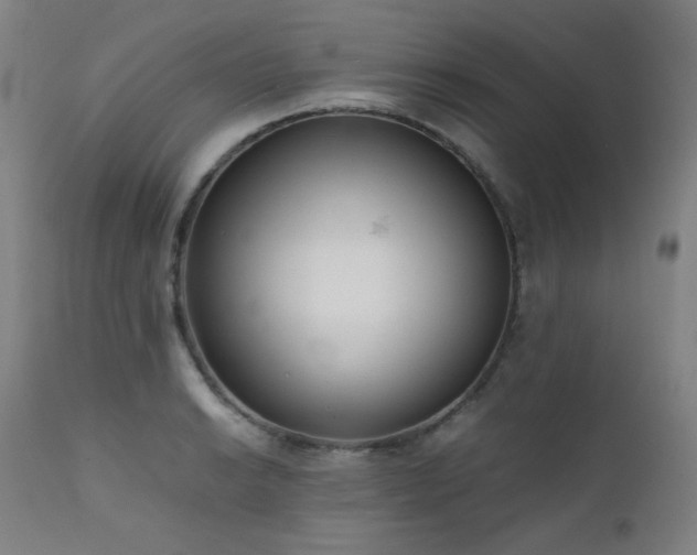 X0000111921038200907271244