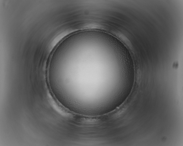 X0000111921039200907271244