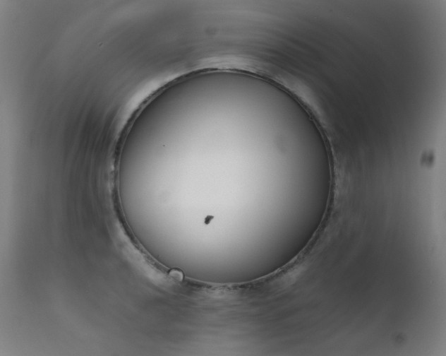X0000111921040200907271244