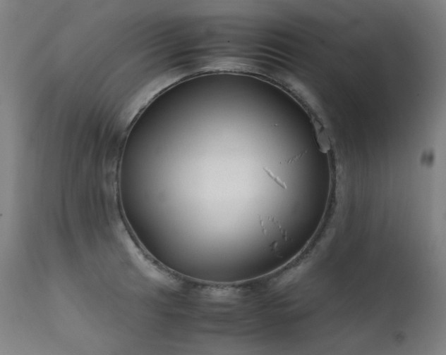 X0000111921041200907271244