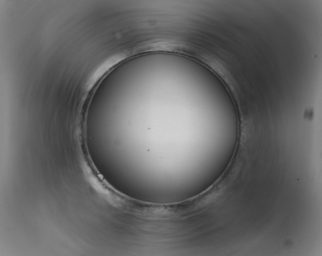 X0000111921042200907271244