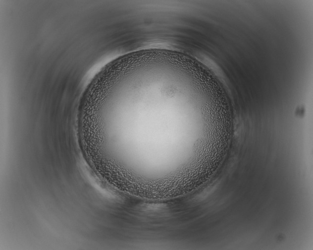 X0000111921043200907271244