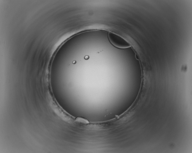 X0000111921044200907271244