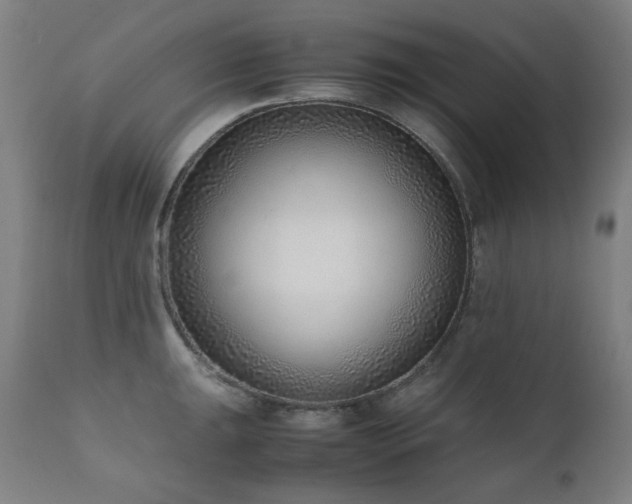 X0000111921047200907271244