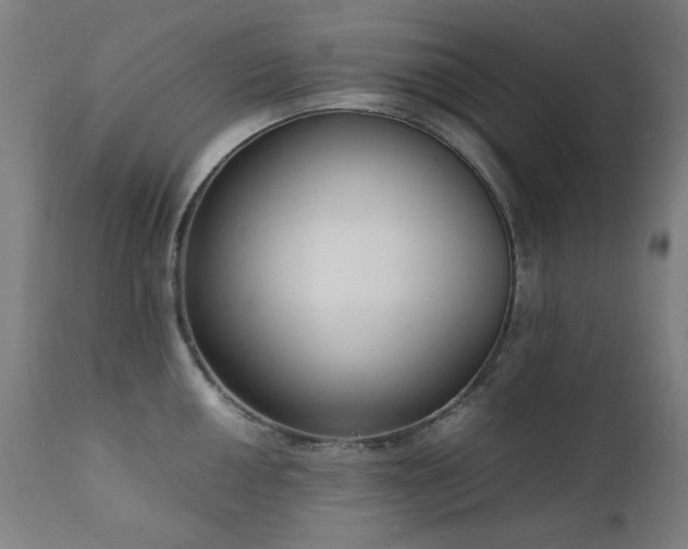 X0000111921050200907271244
