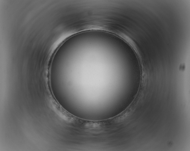 X0000111921051200907271244