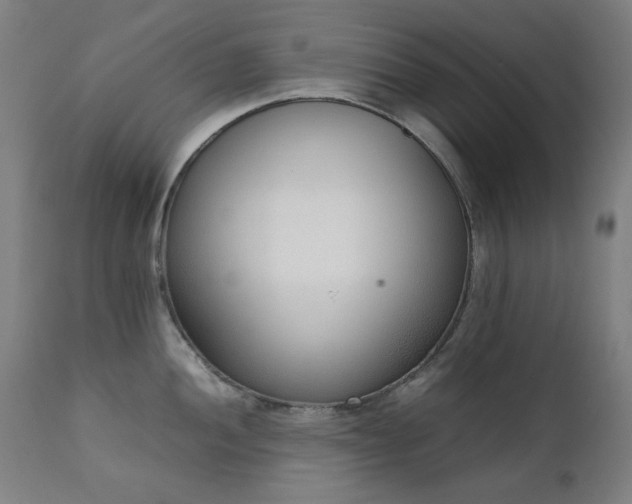 X0000111921052200907271244