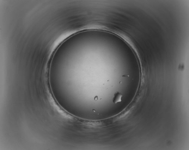 X0000111921053200907271244