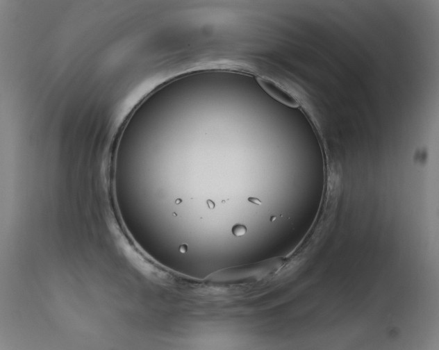 X0000111921054200907271244