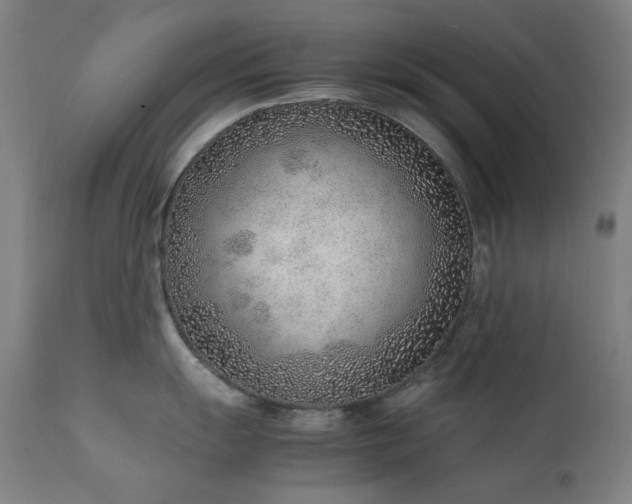 X0000111921055200907271244
