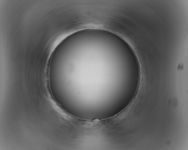 X0000111921056200907271244