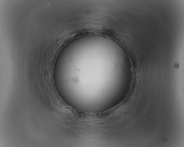X0000111921057200907271243