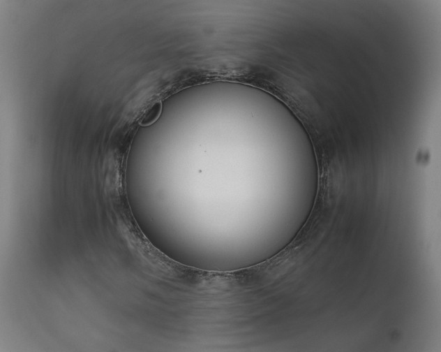 X0000111921058200907271243