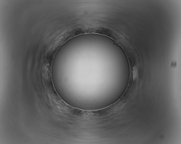 X0000111921059200907271243
