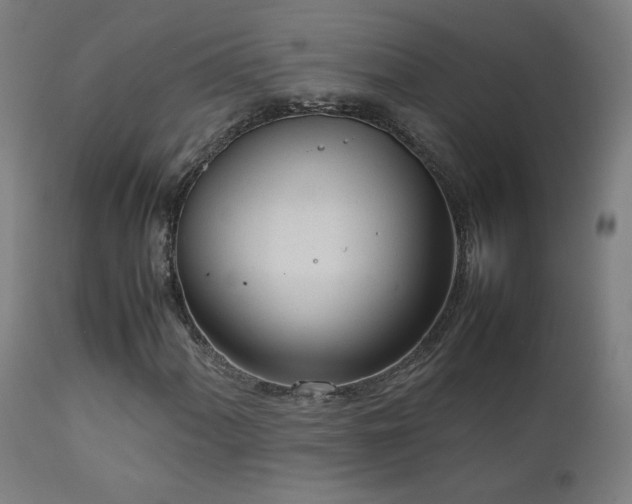 X0000111921060200907271243