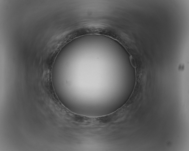 X0000111921061200907271243