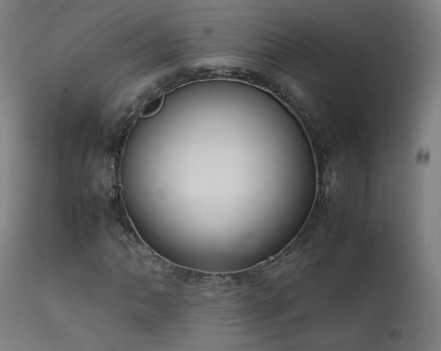 X0000111921062200907271243