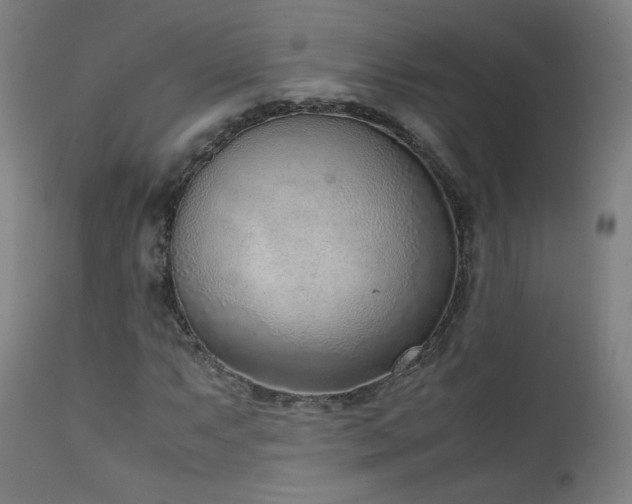 X0000111921063200907271243