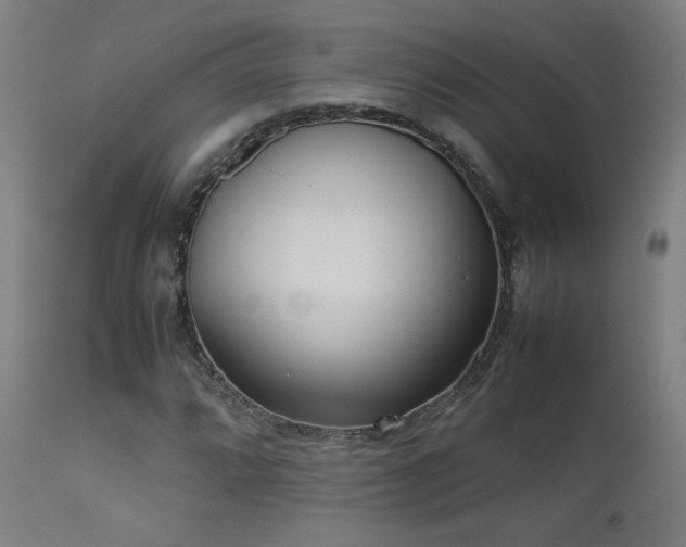 X0000111921064200907271243