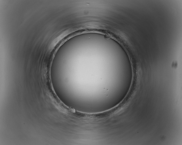 X0000111921065200907271243