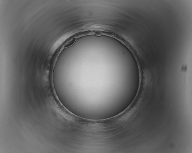 X0000111921066200907271243