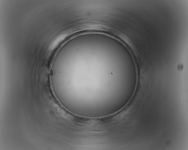 X0000111921067200907271243