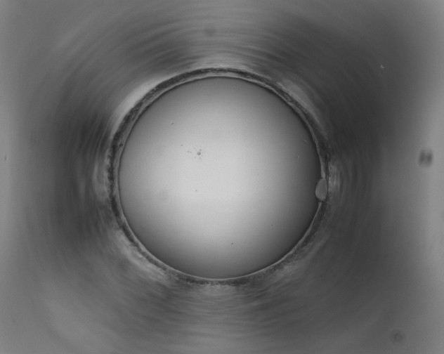 X0000111921068200907271243