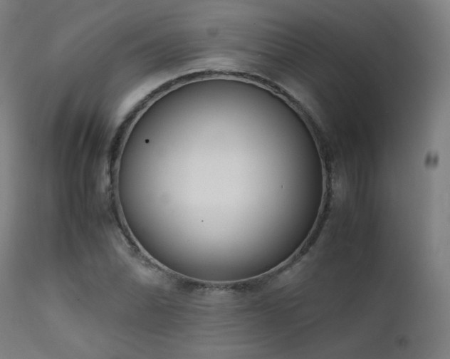 X0000111921070200907271243