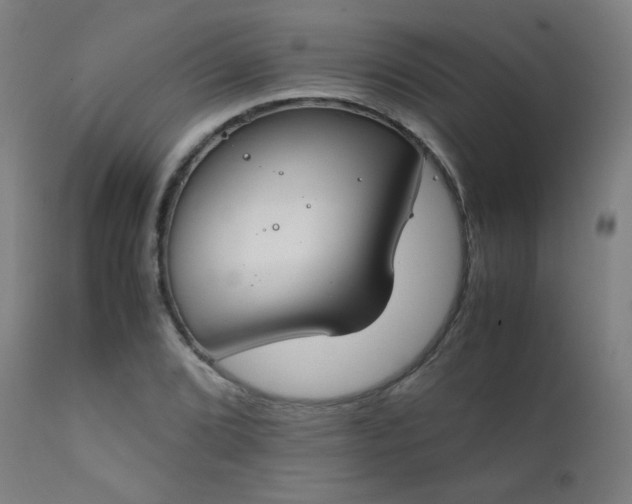 X0000111921072200907271243