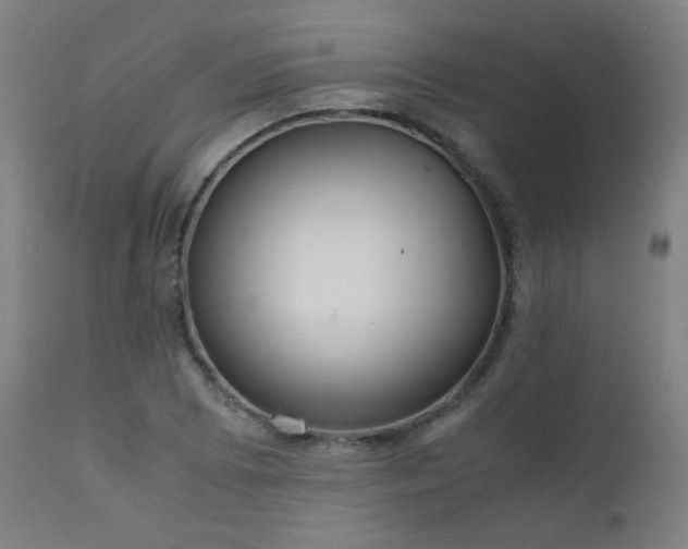 X0000111921073200907271243