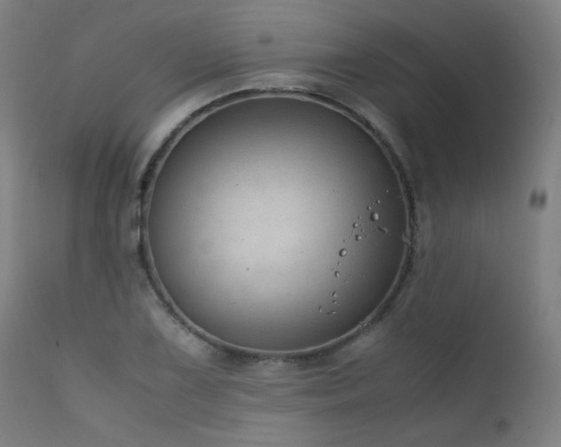 X0000111921075200907271243