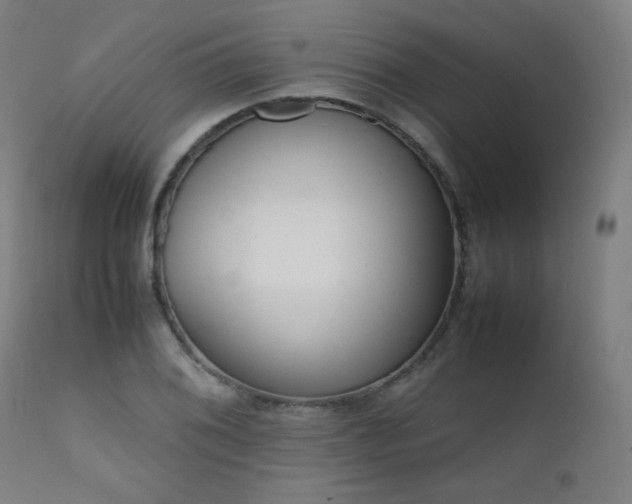 X0000111921076200907271243