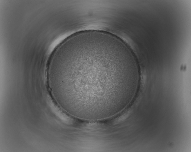 X0000111921077200907271243